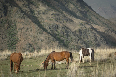 Similar image 21760854