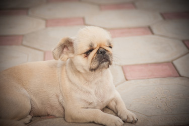 Similar image 21760855