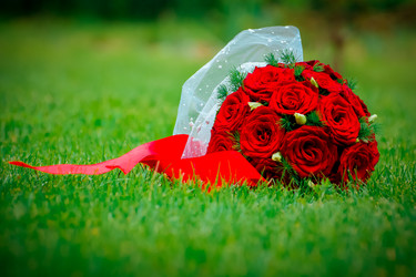 Similar image 21760858