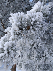 Similar image 21760235