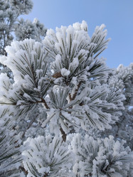 Similar image 21760236