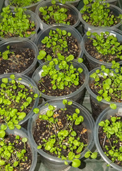 Similar image 21760239