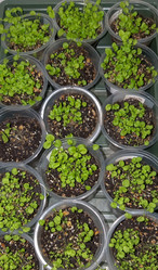 Similar image 21760241