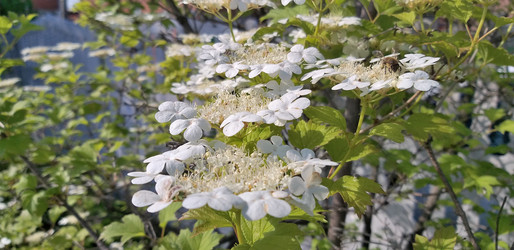 Similar image 21760267