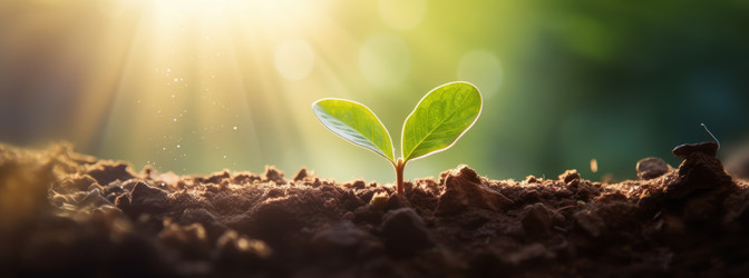 Similar image 21761036