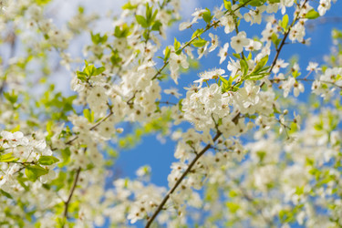 Similar image 21760645