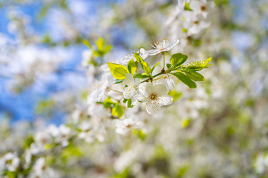 Similar image 21760648