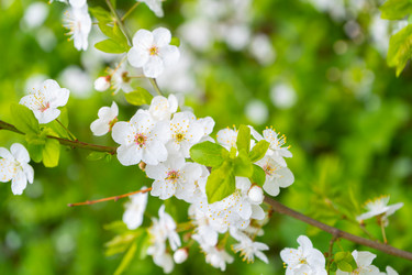 Similar image 21760651