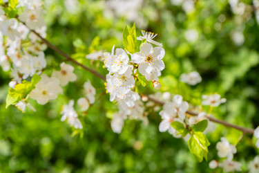 Similar image 21760652