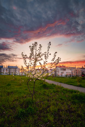 Similar image 21761040