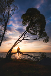 Similar image 21761548