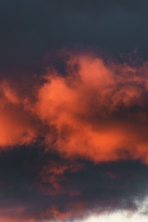 Similar image 21761042