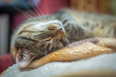 Similar image 21761554