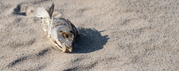 Similar image 21761555