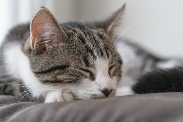 Similar image 21761563