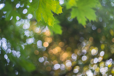 Similar image 21761565