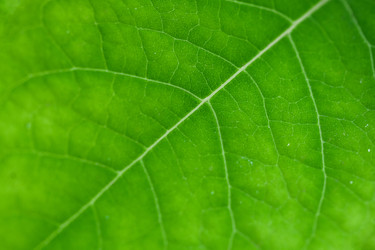 Similar image 21761569