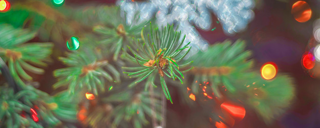 Similar image 21761575