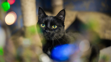 Similar image 21761576