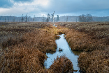 Similar image 21761577