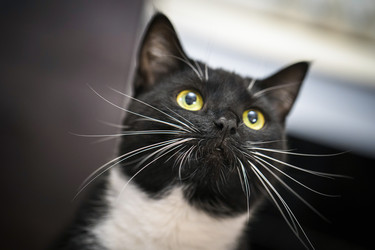 Similar image 21761584