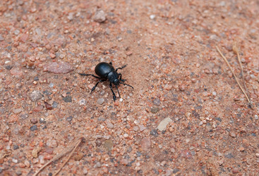 Similar image 21760744