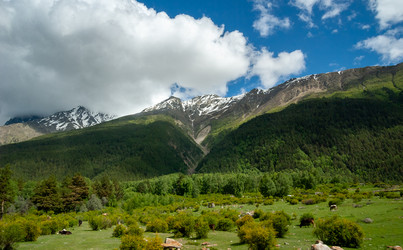 Similar image 21760754