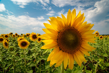 Similar image 21761599