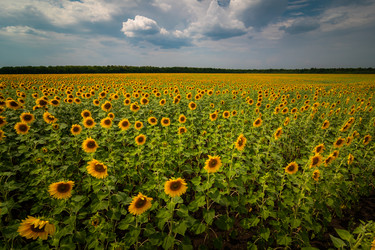 Similar image 21761600