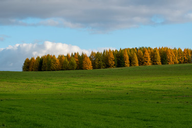 Similar image 21761602