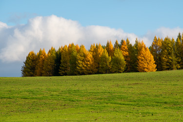 Similar image 21761604