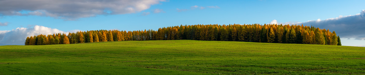 Similar image 21761605