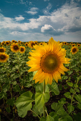 Similar image 21761606