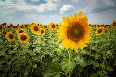 Similar image 21761607