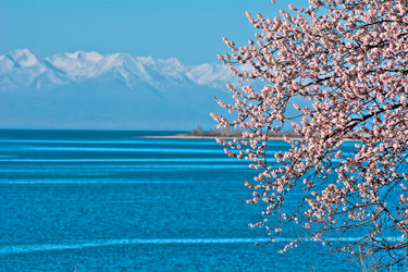 Similar image 21760874