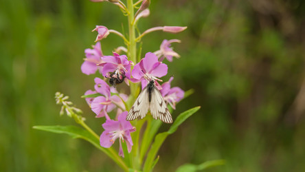 Similar image 21760878