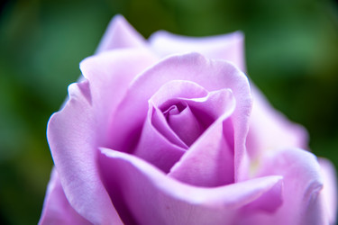 Similar image 21760888