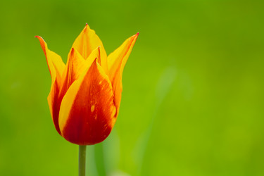 Similar image 21760889