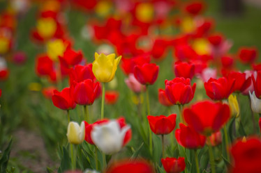 Similar image 21760890