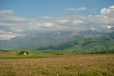 Similar image 21760891