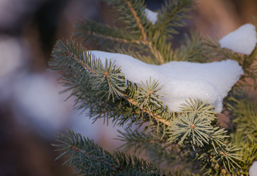 Similar image 21760897