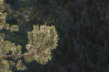 Similar image 21760898