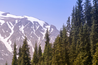 Similar image 21760902