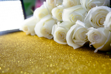 Similar image 21760907