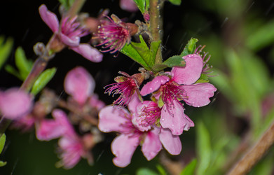 Similar image 21760909