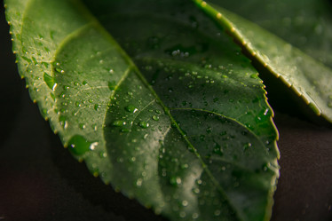 Similar image 21760910