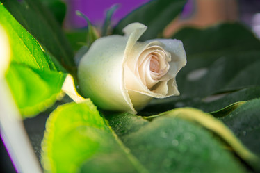 Similar image 21760911