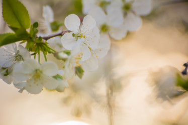 Similar image 21760912