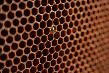 Similar image 21760936