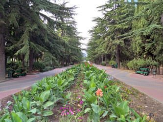 Similar image 21761071